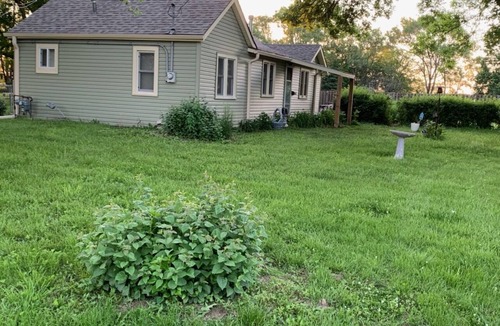 North Central Omaha Cottage | Lily's Cozy Cottage, a quiet corner to unwind, and 20 minutes to everything.
