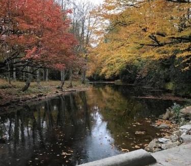 Newland House | Linville Land Harbor - River Run