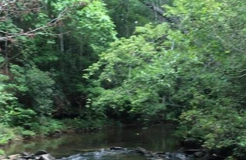 Menlo Cabin | Little River Hideaway at the Lookout