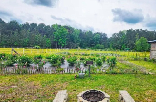 Willard House | Lizzy Lous Family Farm The Bluebelle