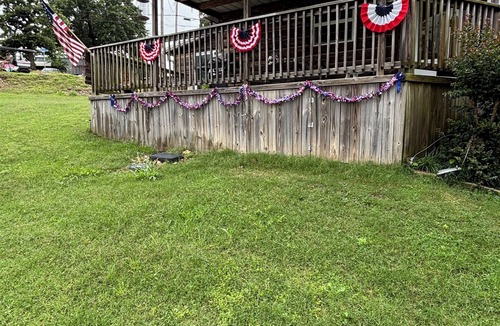 Cleora Cabin | Log Cabin with a waterfront view. Access to boat ramp and swimming dock!