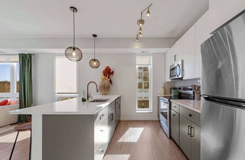 Downtown Minneapolis Apartment | Loring Park King Suite | Rooftop & Stadium