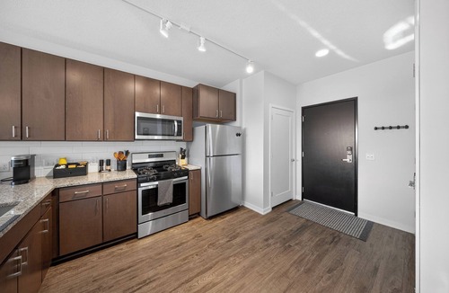 Downtown Apartment | Luxury 1 BR I Walk to Mayo Skyway I Pets I Parking