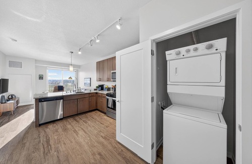 Downtown Apartment | Luxury 1 BR I Walk to Mayo Skyway I Pets I Parking