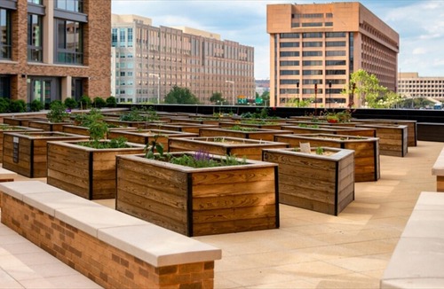 District Wharf Apartment | Luxury Apartments at The Wharf