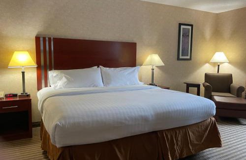 Central Business District Hotel | Lynchburg Grand Essential by IHG