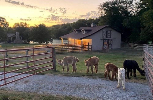 Glenwood House | Memorable Vacation in 1800s-Style Covered Wagon in Glenwood, Iowa