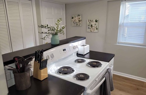 Joslyn Castle Apartment | Midtown Hub, Walk to UNMC, Near Dundee