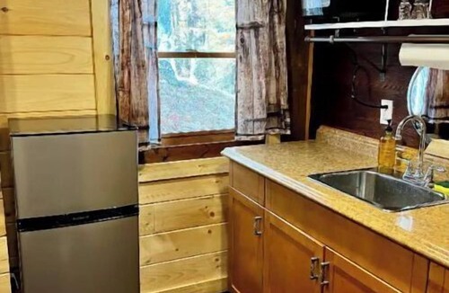 Ranger Cabin | Million Dollar Mountain View at Bear Den studio!