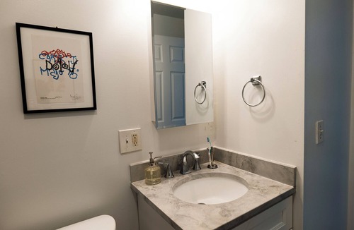 Historic Downtown Apartment | Modern 1-bedroom apartment in downtown Jersey City 1 block from Grove St. Path.