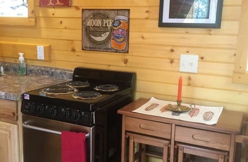 Newport Cabin | Moonshine Cabin tucked away on the Mountain,Great Location with private Hot Tub!