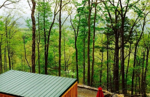 Newport Cabin | Moonshine Cabin tucked away on the Mountain,Great Location with private Hot Tub!