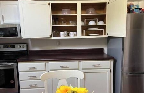 Sioux City Apartment | Morningside work Hub 4 beds/2BR, Fiber internet