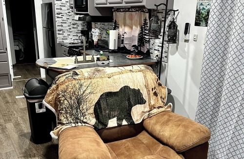 Cosby House | Mountain Dreams, up to date camper with WiFi & fireplace
