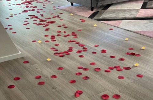 Downtown Baltimore Apartment | New serene 5 min UMMC High ceilings We Love pets