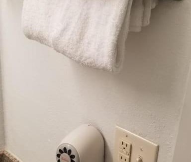 Stillwater Apartment | OSU 2 Queen Beds Hotel Room 204 Booking