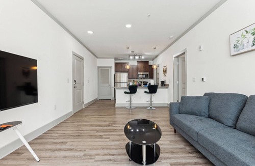 Farragut Apartment | Overlook 3111 Modern Luxury in Heart of Knoxville