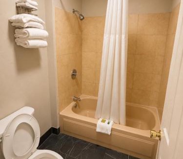 Ozark Hotel | Ozark Inn & Suites