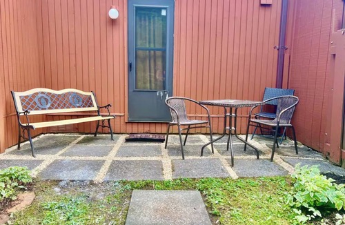 Canaan Valley Condo | PC 25: Davis Condo, Quaint & efficient! A/C