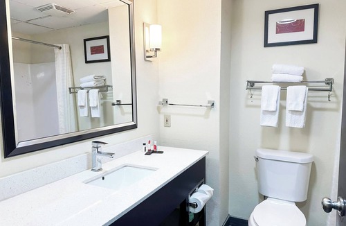 Mount Berry Hotel | Peaceful Double Queen Room | 4 Rooms | Rome Stay Close to Shopping