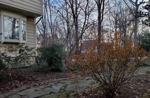 Reston House | Peaceful Oasis North Point - BBQ Grill - Free Parking