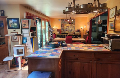 Chapel Hill House | Peaceful, Private Woodland Lot, 9 Minutes to UNC/Downtown Chapel Hill