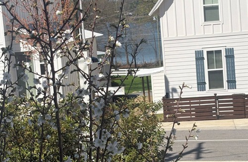Guntersville Cottage | Perfect 2-bedroom cottage with AC in beautiful Lake Guntersville