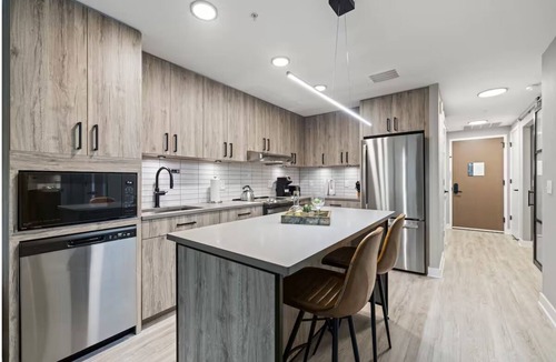 Navy Yard Apartment | Pet-Friendly Haven | Kitchen & Rooftop Views | Perfect for Extended Stays