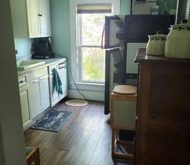 Opheim House | Pet-Friendly Historic 4BR Home in Illinois