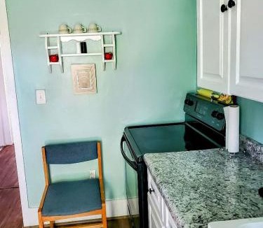 Opheim House | Pet-Friendly Historic 4BR Home in Illinois