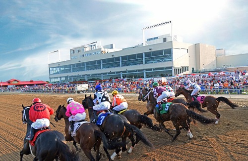 Altoona Hotel | Prairie Meadows Casino Racetrack and Hotel
