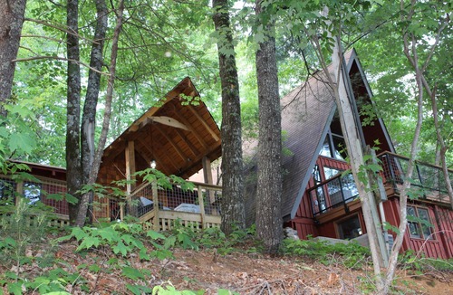 Cleveland Cabin | Private mountain cabin surrounded by Nat'l Forest! Visit wineries, hike the AT!