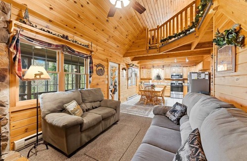 Accident Cabin | Private Pond Access! Covered Hot Tub with TV!