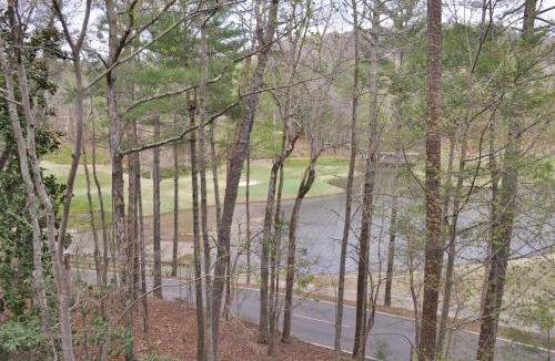 Big Canoe House | Resort Haven - Lake Views Fireside Sips Big Screen Roku TVs Community Golf