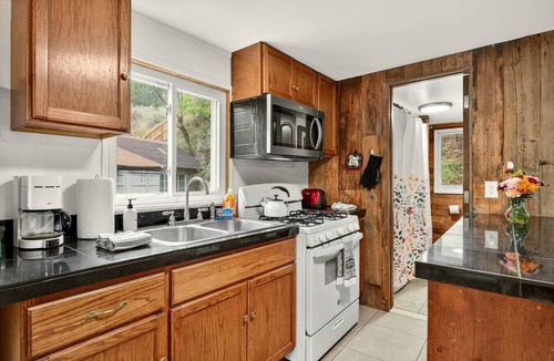 Idledale House | Rustic Modern Cabin on Bear Creek | Near Red Rocks
