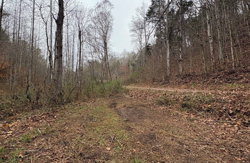 Speedwell RV Rental | RV/Camper Sites. No Electric