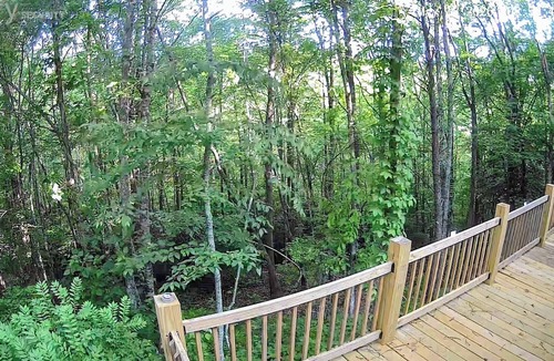 Turtletown Cabin | Secluded Blue Ridge Mountain Cabin near Ocoee River with Firepit