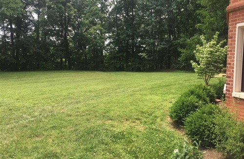 Charlottesville Apartment | Secluded, Countryside Apt near UVA, wineries, and C'ville; 2 Kings or King+twins