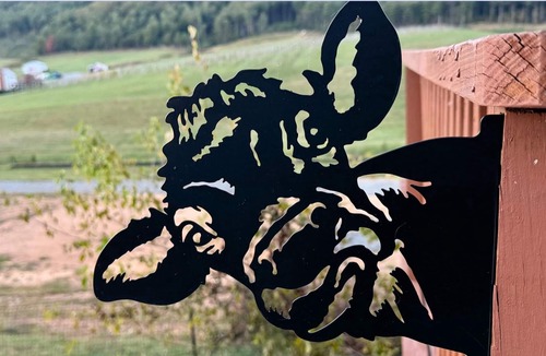 Stanardsville Cottage | Shenandoah Park, SkylineDr.,trails, wine, Massanutten Ski Resort&Charlottesville