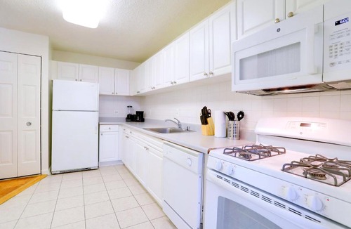 Crystal City Apartment | Spacious Apt W Great Spaces & Facilities