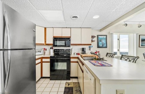 Diamond Beach Condo | Spectacular views of the ocean and wildlife preserve from two balconies!