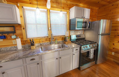 Zionville Cabin | Spring time in your own 3 acre Forest!