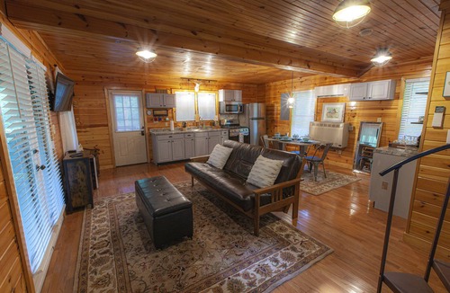 Zionville Cabin | Spring time in your own 3 acre Forest!