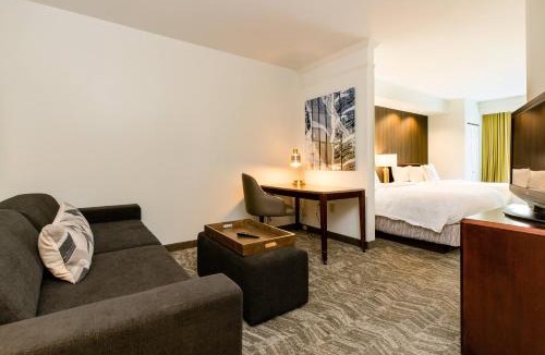 Florence Hotel | SpringHill Suites Florence