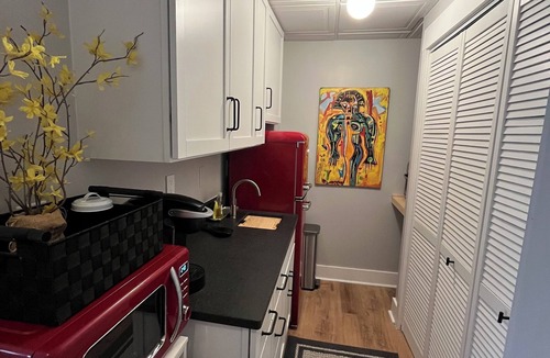 Dallas Apartment | Stylish 1-bedroom private guest suite & entrance to basement apt with pool