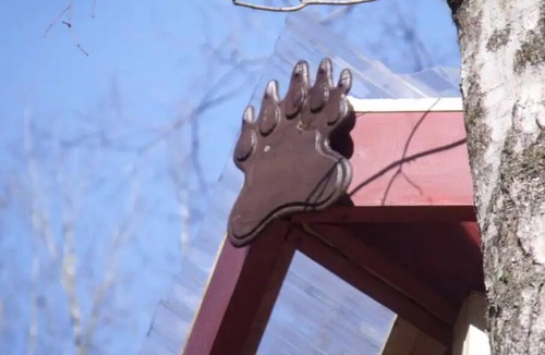 Ashville Cabin | Summertime and the living is easy at the bearclaw