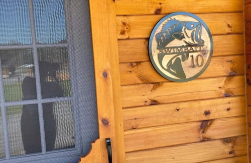 Scottsboro Cabin | SWIMBAIT CABIN