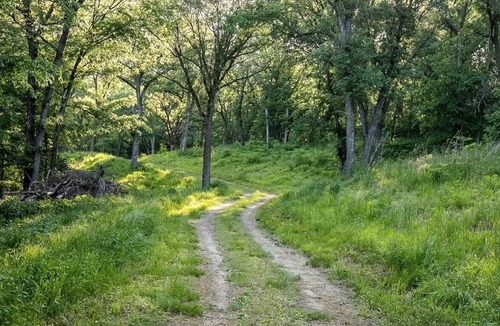 Thurston County RV Rental | Tentrr Signature Site - Hickory Campsite 1