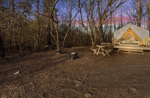 LaFayette RV Rental | Tentrr Signature Site - Moonpie Majestic Skies Getaway on Scenic Farm