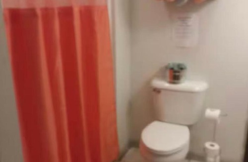 Dunlap Apartment | The Bird House near Fall Creek Falls State Park